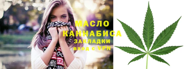 молекула духа Богородск