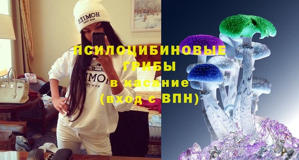 молекула духа Богородск