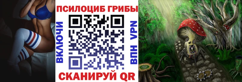hydra маркетплейс  закладки  Колпашево  Галлюциногенные грибы Psilocybe 